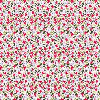 dsStella-DCWR3887 WHITE